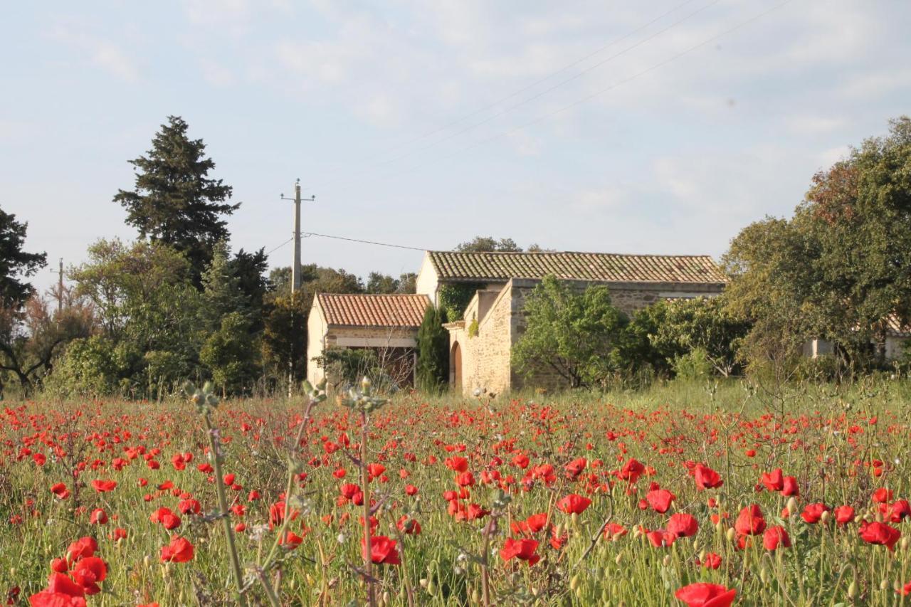 Le Mas De La Seuve Richerenches Exterior photo